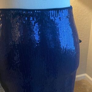 Sequin Blue Skirt